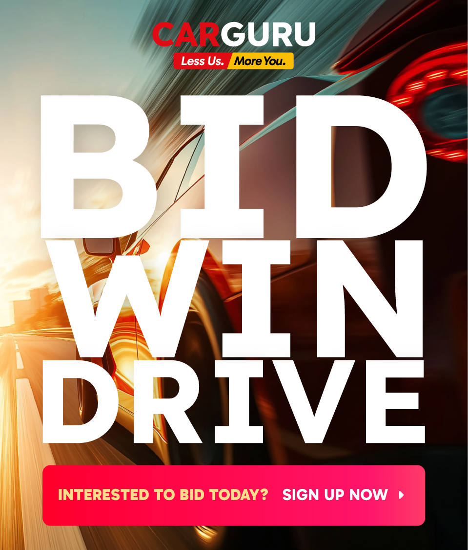 Bid Drive Win